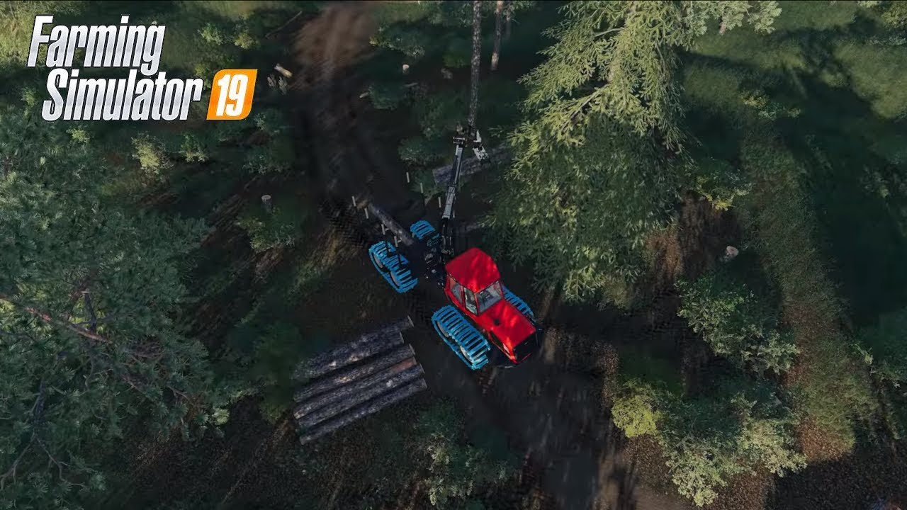 POLSKI LAS W FARMING SIMULATOR 19?!