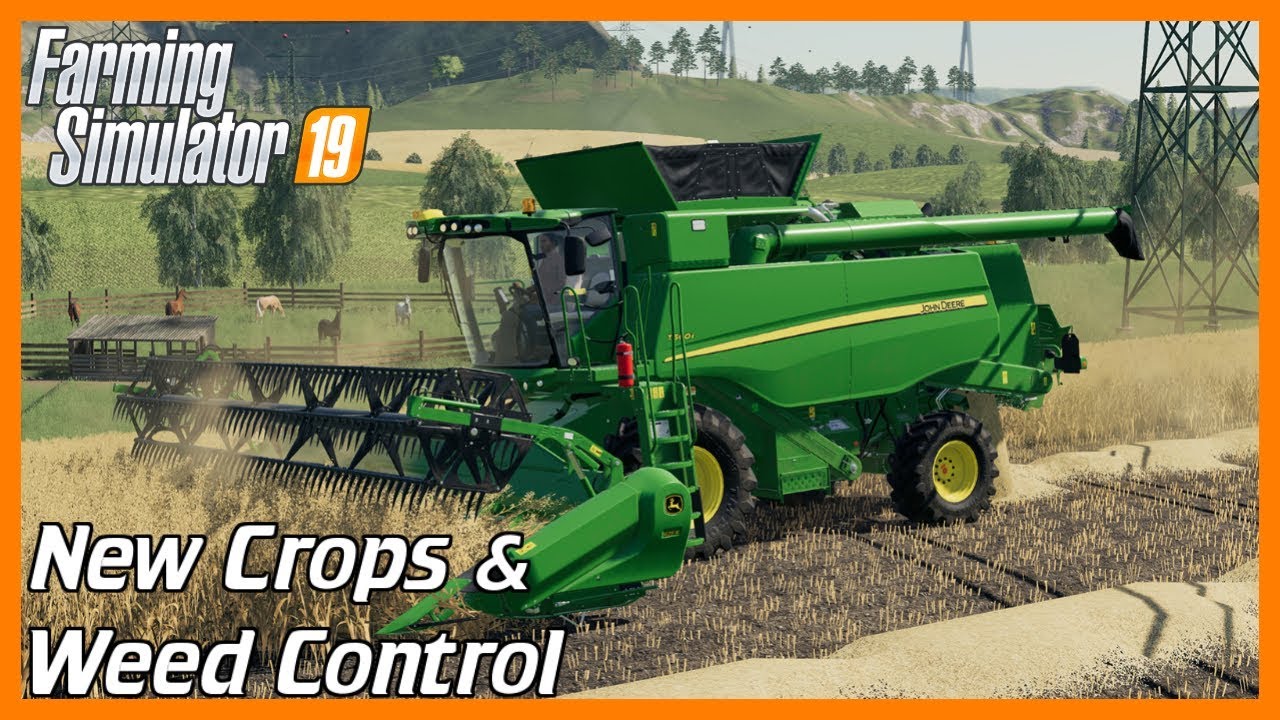 DEV BLOG + XB1 PRE ORDER | New Crops & Weeds | FS19