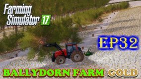 Farming Simulator 17 | Ballydorn Farm Gold | Timelapse | Episode 32 | LET'S FELL THEM!