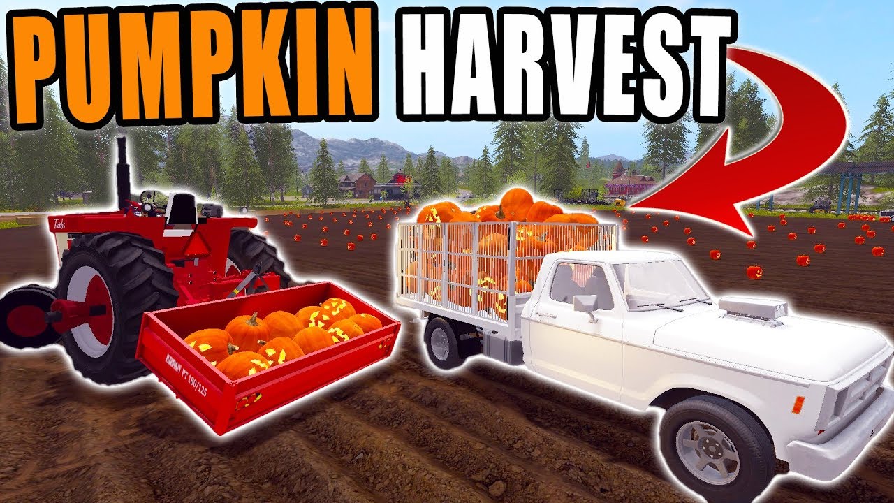 HARVESTING + DELIVERYING AT THE PUMPKIN PATCH | FARMING SIMULATOR 2017