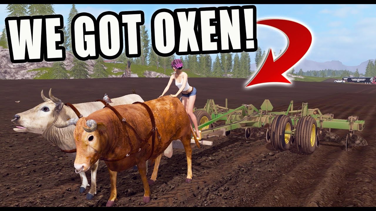 OXEN PULLING A 2100 JOHN DEERE RIPPER | FARMING SIMULATOR 2017 OXEN PULLING A 2100 JOHN DEERE RIPPER | FARMING SIMULATOR 2017