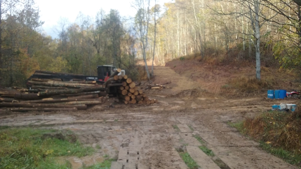 PS4 Logging on Smokey Mountain