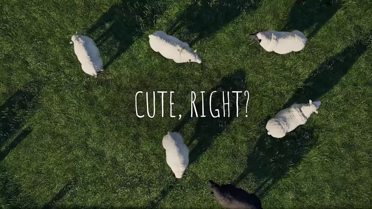 Zwierzęta w Farming Simulator 19