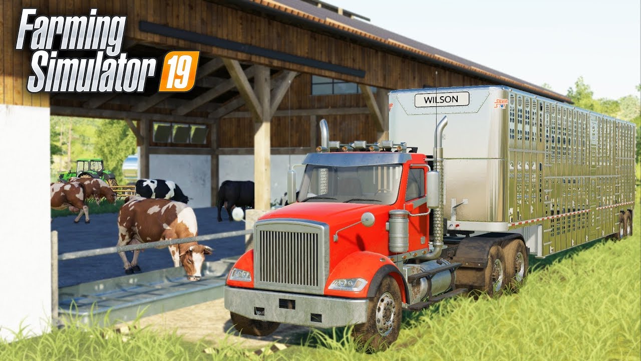 FS19- WELCOME HOME COWS! TRUCKING CATTLE TO THE PASTURE | EP #9