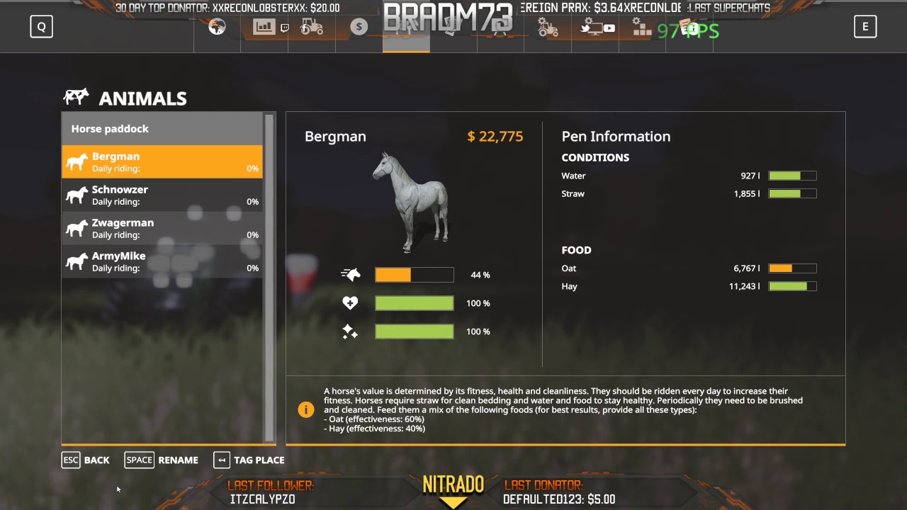 Farming Simulator 19 - Pre-Release Gameplay Live Stream #5 - Modes and Horse Special!!