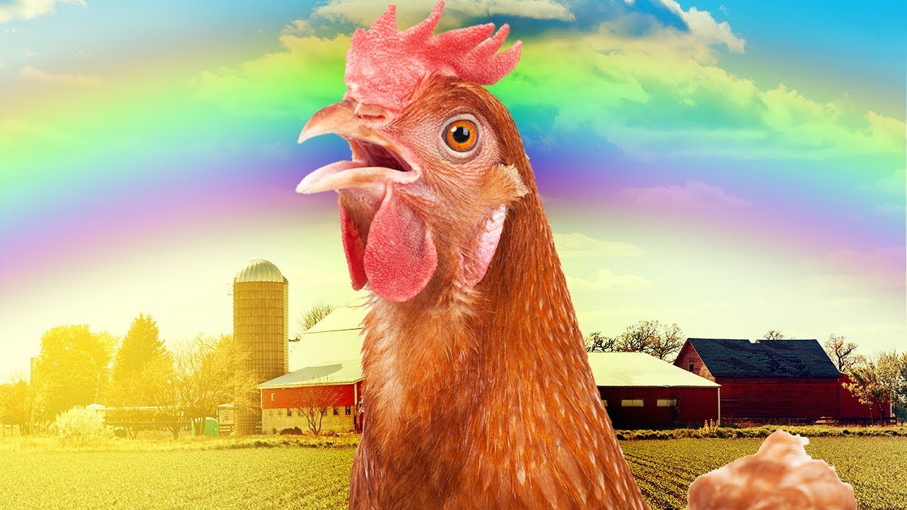 I Crashed My Fully Loaded Trailer! - Chicken Eggs = Goldmine! - Farming Simulator 19 Gameplay
