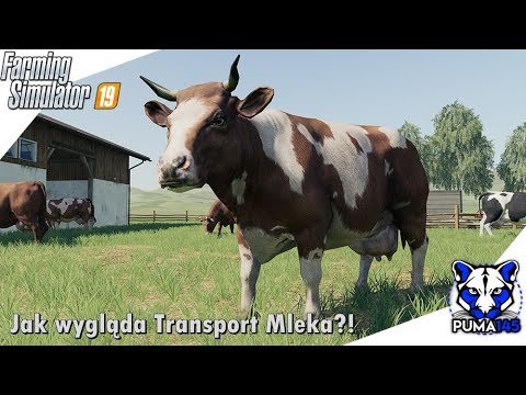 Jak wygląda Transport Mleka w Farming Simulator 19?! - Gameplay #5