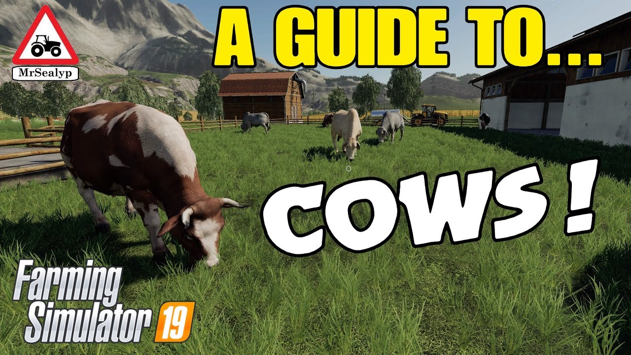 A Guide to... COWS! Farming Simulator 19, PS4, Assistance!