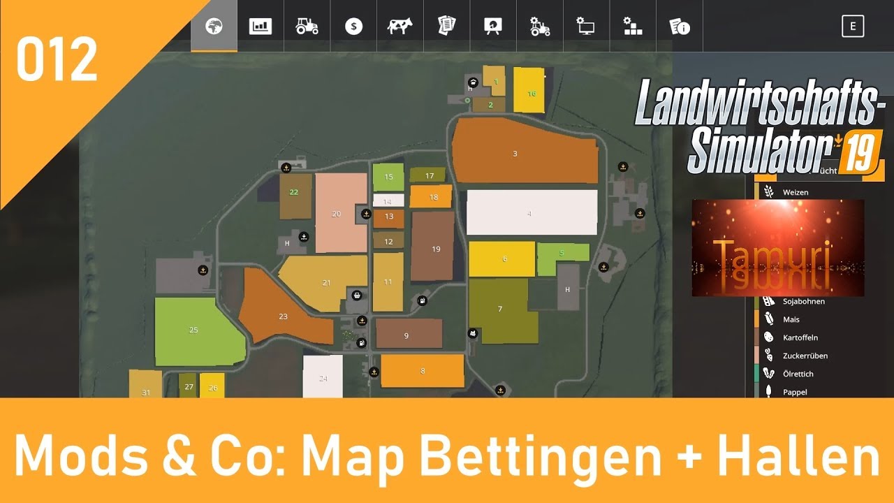 LS19 Mods & Co #012 Map Bettingen, Hallen und Schafe