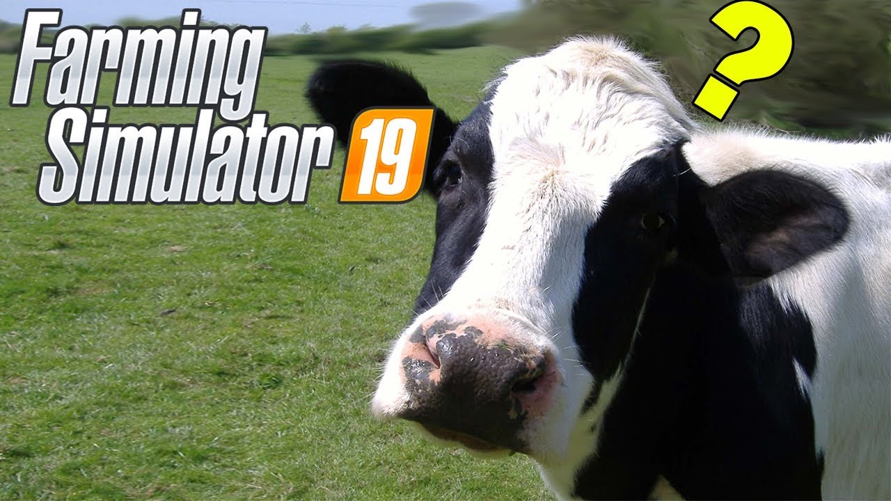 New Cattle Farm but Mistakes Were Made! - Farming Simulator 19 Gameplay - Farm-Manager career mode