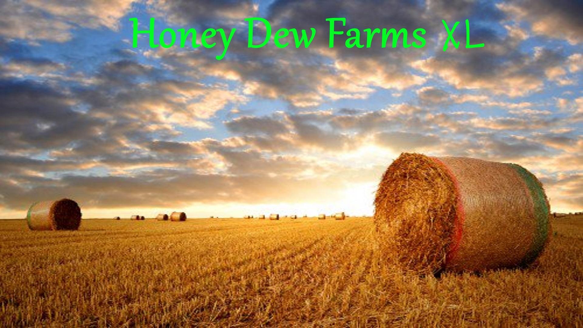 honeydewfarmsxl-v1.0.0.4-fs19-1.jpg