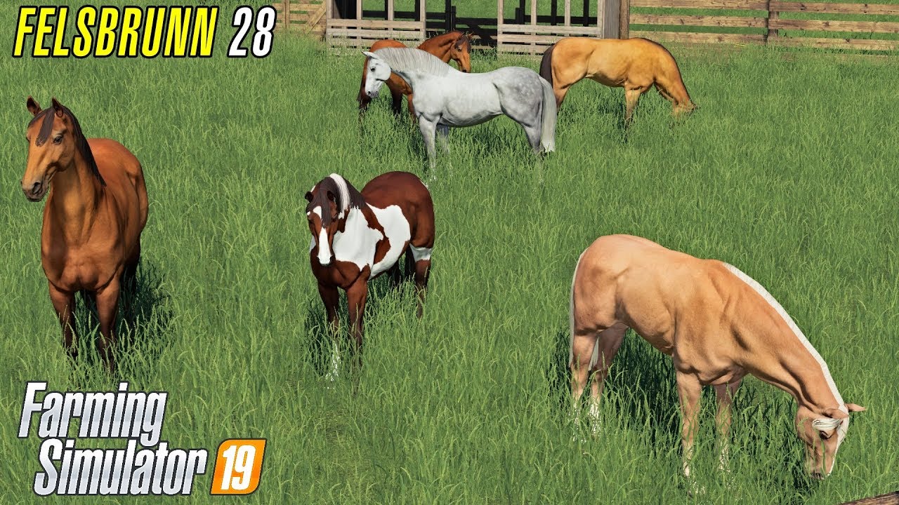 A FULL PADDOCK! -  Let's Play Farming Simulator 19 | Episode 28