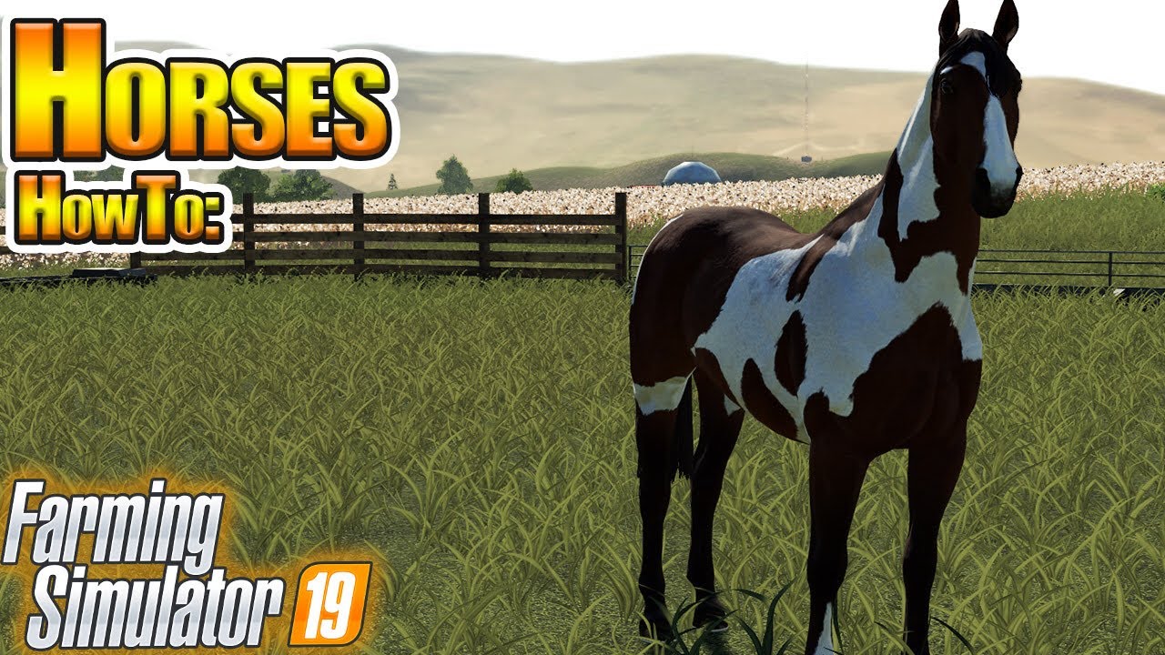 Horses in Farming Simulator 19 - How To in FS19