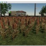 foliage-v0.5-fs19-1.jpg