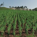 forgotten-plants-maize-v1.0.0-fs19-1.jpg
