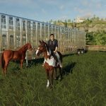 silverstar-full-v1.0.0.0-fs19-1.jpg