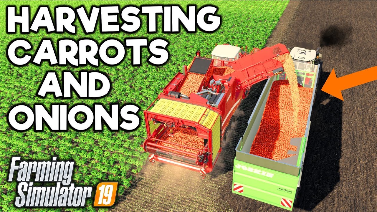 CARROTS & ONIONS - DIFFERENT CROPS! - Farming Simulator 19 (Suedhemmern)