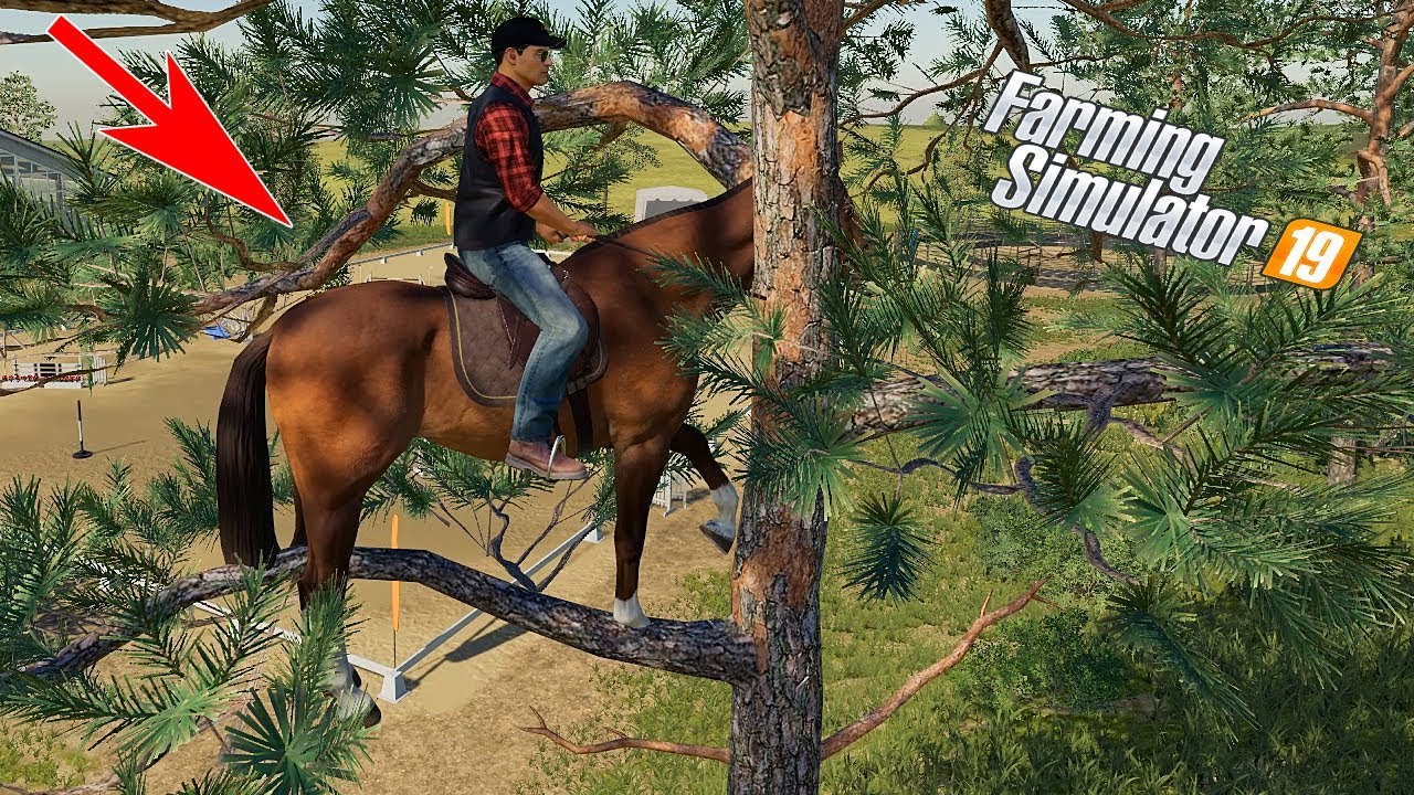 FS 19 - ПЕРВОЕ ВПЕЧАТЛЕНИЕ О ЛОШАДЯХ ! ПРОВЕРКА !