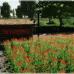 wisniowo-map-2019-v1.1-fs19-1.jpg