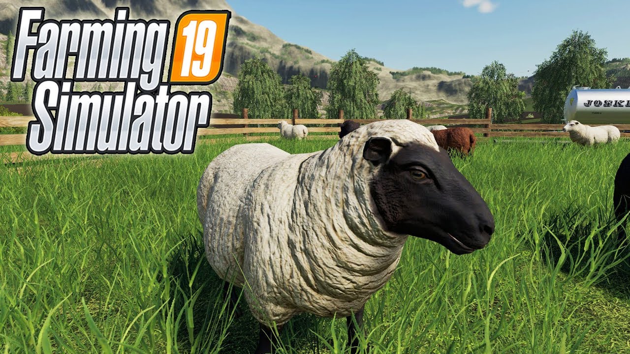 Как ухаживать за овцами в Farming Simulator 19