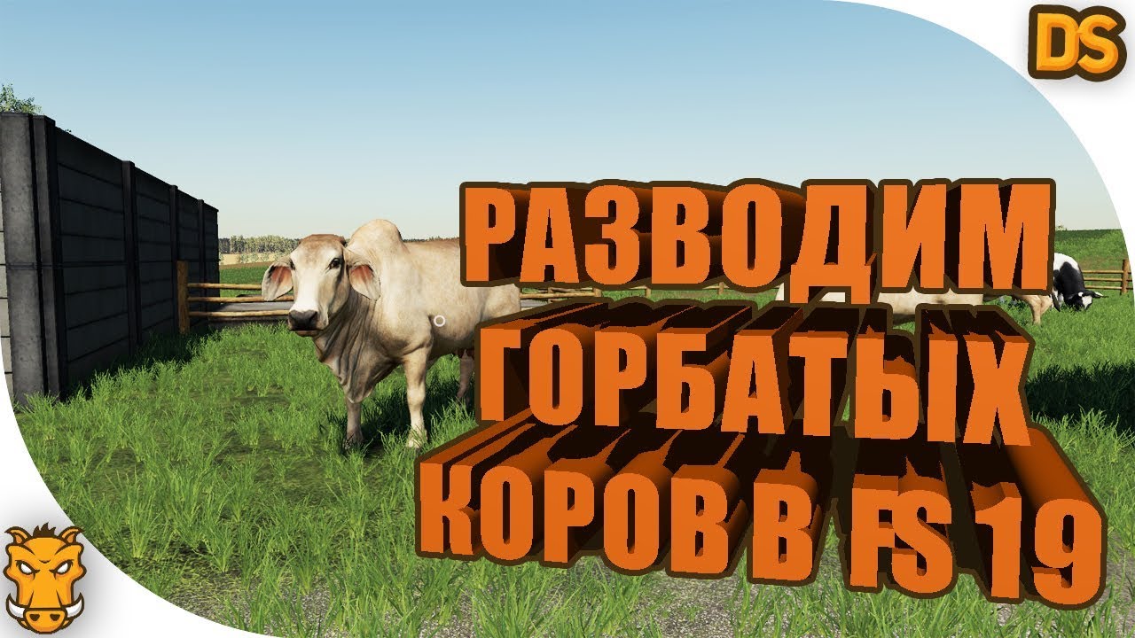 Разводим горбатых коров в FS 19. (Русская карта в Farming Simulator 19)
