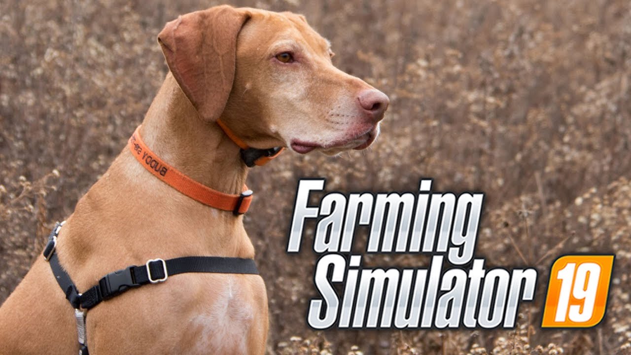 Farming Simulator 19 | CACHORRO NA FAZENDA! #04