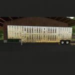 silverstar-v1.0.0.0-fs19-1.jpg