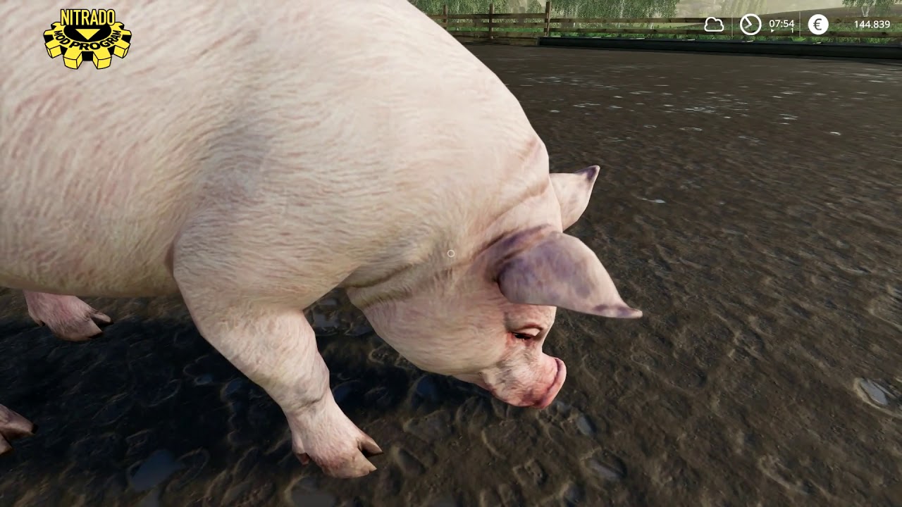 FARMING SIMULATOR 19 #22 prendiamo i maiali