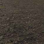 finer-timescale-adjustment-fs19-1.jpg