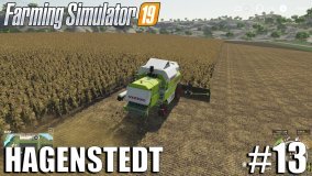 Harvesting Sunflowers | Hagenstedt | Timelapse #13 | Farming Simulator 19 Timelapse
