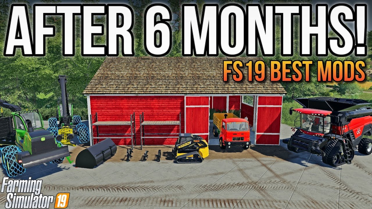 FS19 IS SIX MONTHS OLD! | My Favorite Mods So Far!