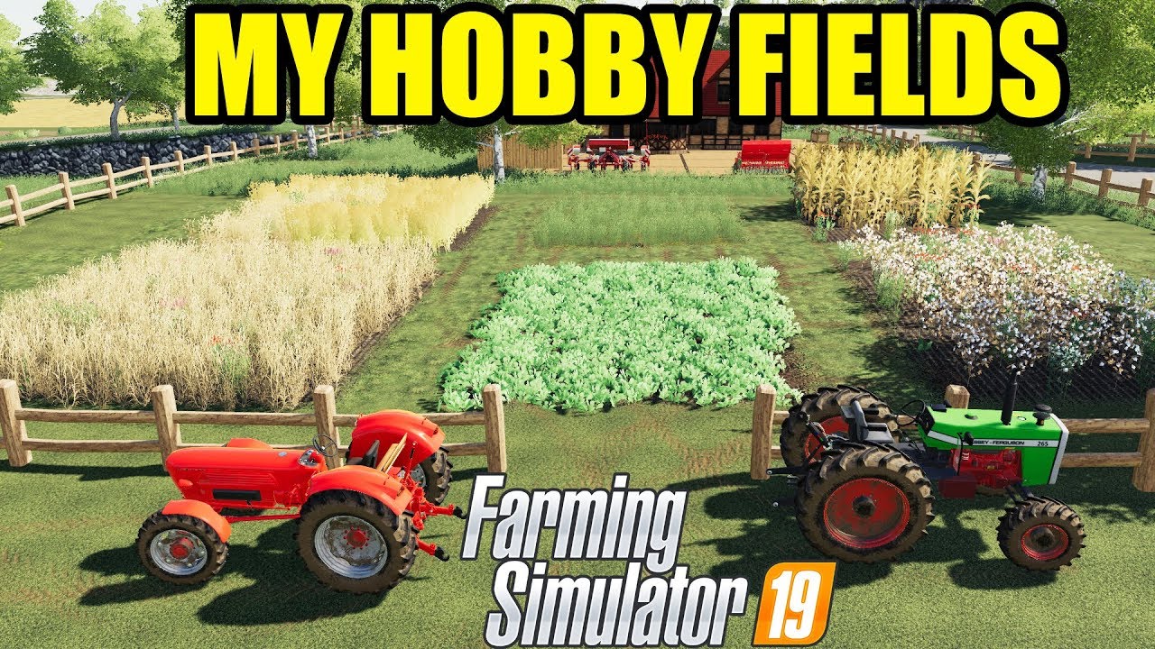 Farming Simulator 19 : Building My Hobby Fields With Mini Tractors !!!