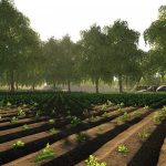 rolnicze-pola-v2-fs19-1.jpg