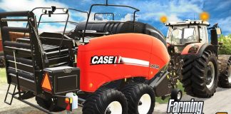 SUMMER TIME IN THE GRASSLAND -  SEASONS FS19 (Oakfield Ep 10)