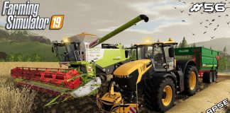Starting harvest - Wheat | Animals on Felsbrunn Seasons | Farming Simulator 19 | Episode 56