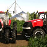 case-ih-2011-magnum-small-frame-v1.0-fs19-1.png