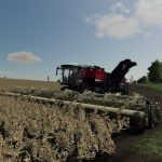 edit-of-homer-beet-v2.0-fs19-1.jpg