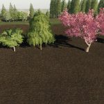 more-trees-28placeable-29-v1.0.1.0-fs19-1.jpg