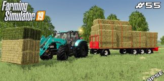 Mowing,baling & carting hay | Animals on Felsbrunn Seasons | Farming Simulator 19 | Episode 55