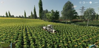 Farming Simulator19. "пос. Новотроицкий". Стрим-кооп.№5