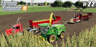 Sowing beets, harvesting corn silage | County Line Farm | Farming simulator 19 | Timelapse #22