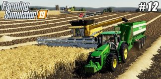 Harvesting triticale, selling crop | Farming on County Line Farm | FS 19 | Timelapse #12