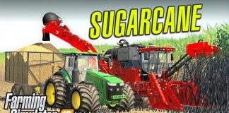 LARGE SCALE SUGARCANE...VERY SWEET - FS19 | Lone Oak Farm