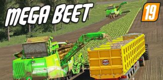 MEGA BEET...MAKING A SUCCESSFUL FARM - FS19 | Lone Oak Farm