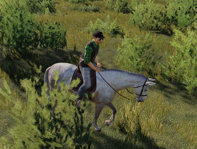 horse-v1.0.0.0-fs19-1.jpg