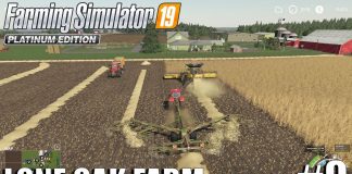 FS19 - Lone Oak 2.0 | Huge Straw Action | Timelapse #9 | Farming Simulator 19 Timelapse