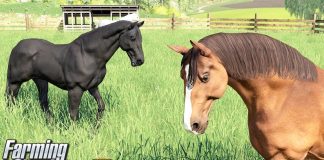 Kupiłem konie - Farming Simulator 19 | #17