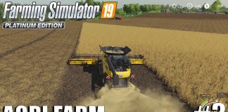 Agri Farm | Harvesting Wheat | Timelapse #3 | FS19 | Farming Simulator 19