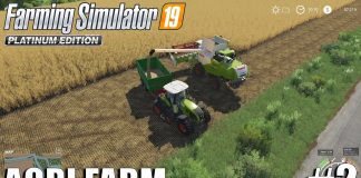 Agri Farm | New CLAAS Combine | Timelapse #2 | FS19 | Farming Simulator 19