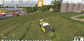 Huge Grass Baling for the Sheep | Shamrock Valley | Timelapse #4 | FS19 | Farming Simulator 19